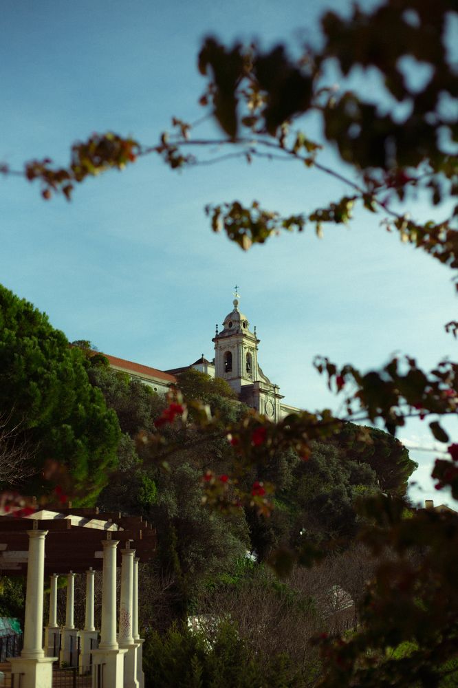 Photograph by Pedro Freitas