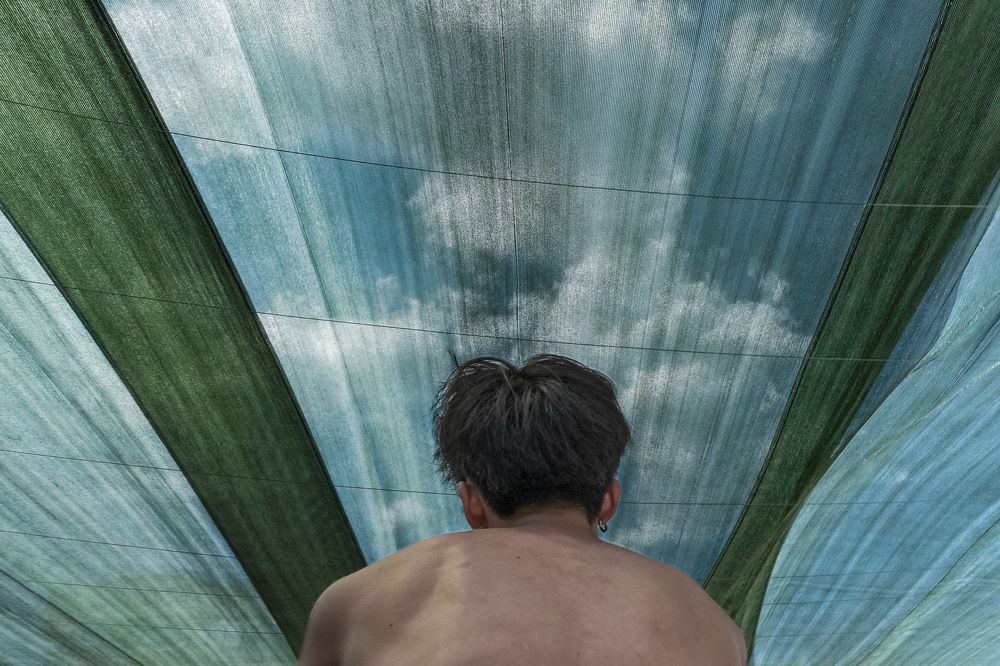 Photograph by Loptev Andrey