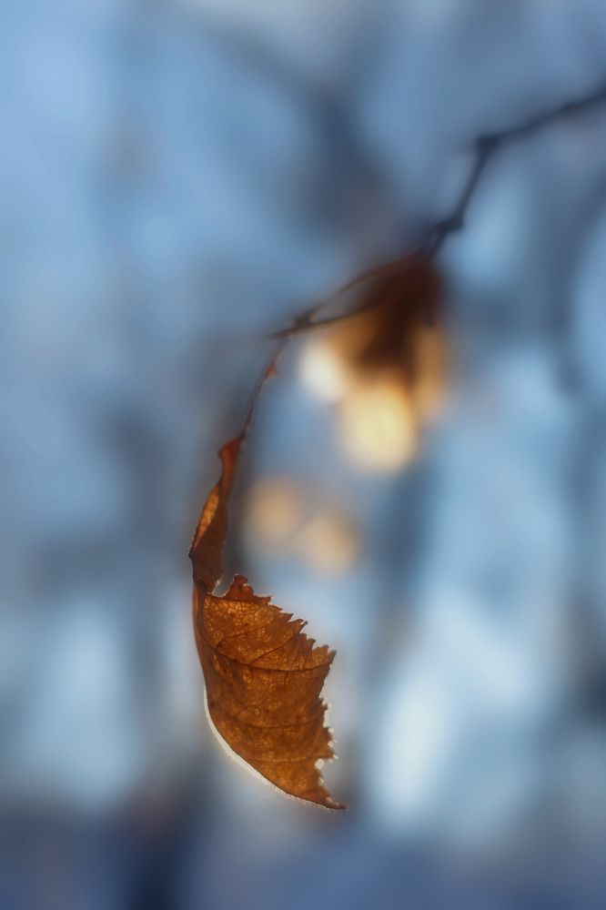 Photograph by Алла Никушкина