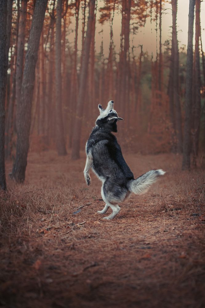 Photograph by Анопченко Ирина