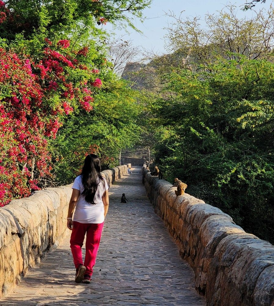 Photograph by G GOVIL