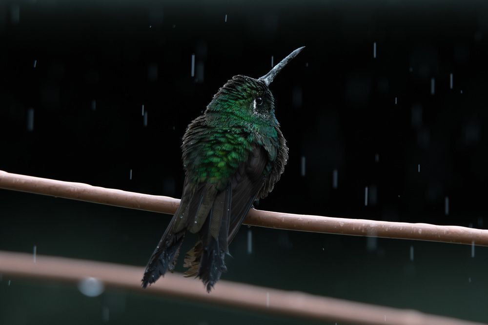 Photograph by Abel Cancino Gutierrez