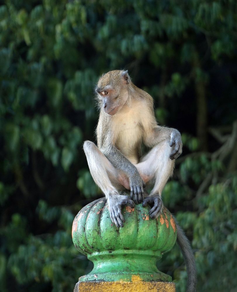 Photograph by Лена Максимкина