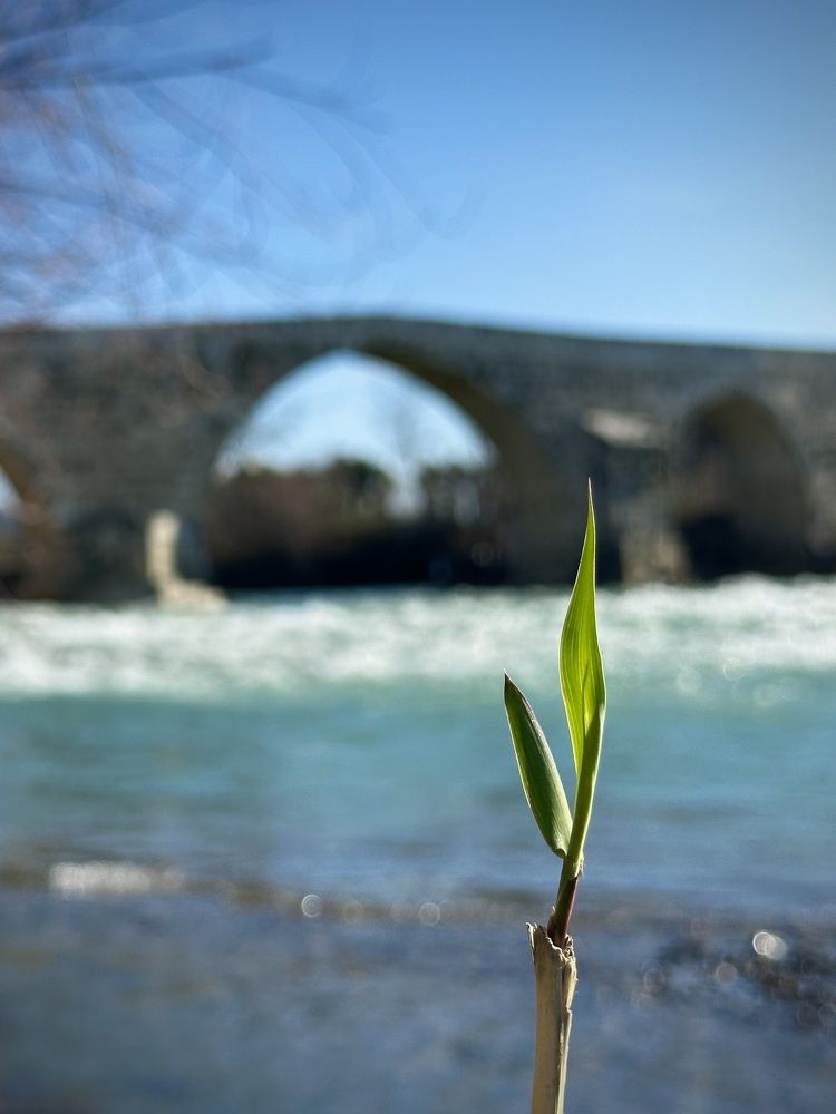 Photograph by Olga Panich