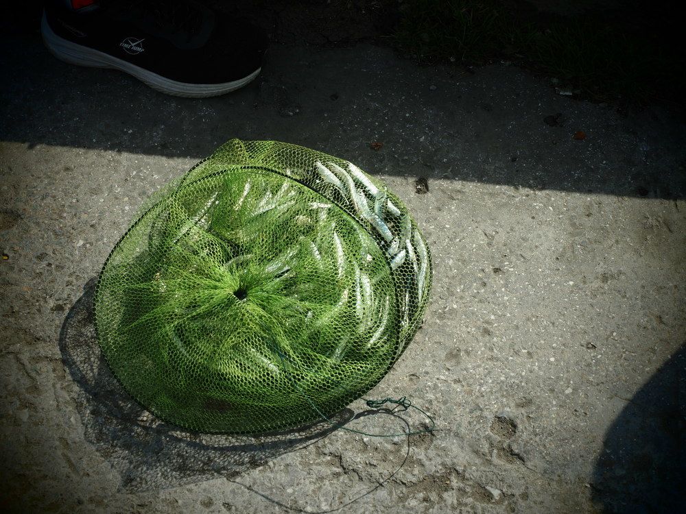 Photograph by Любовь