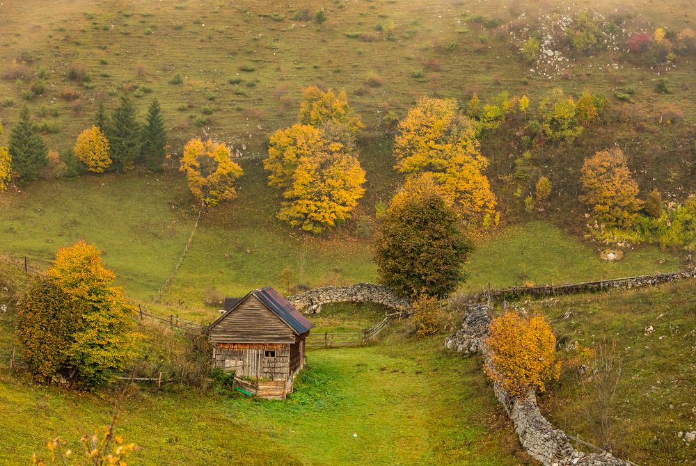 Фотография автора COMSA BOGDAN