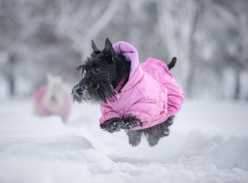 Photograph by Natalya Rembeza