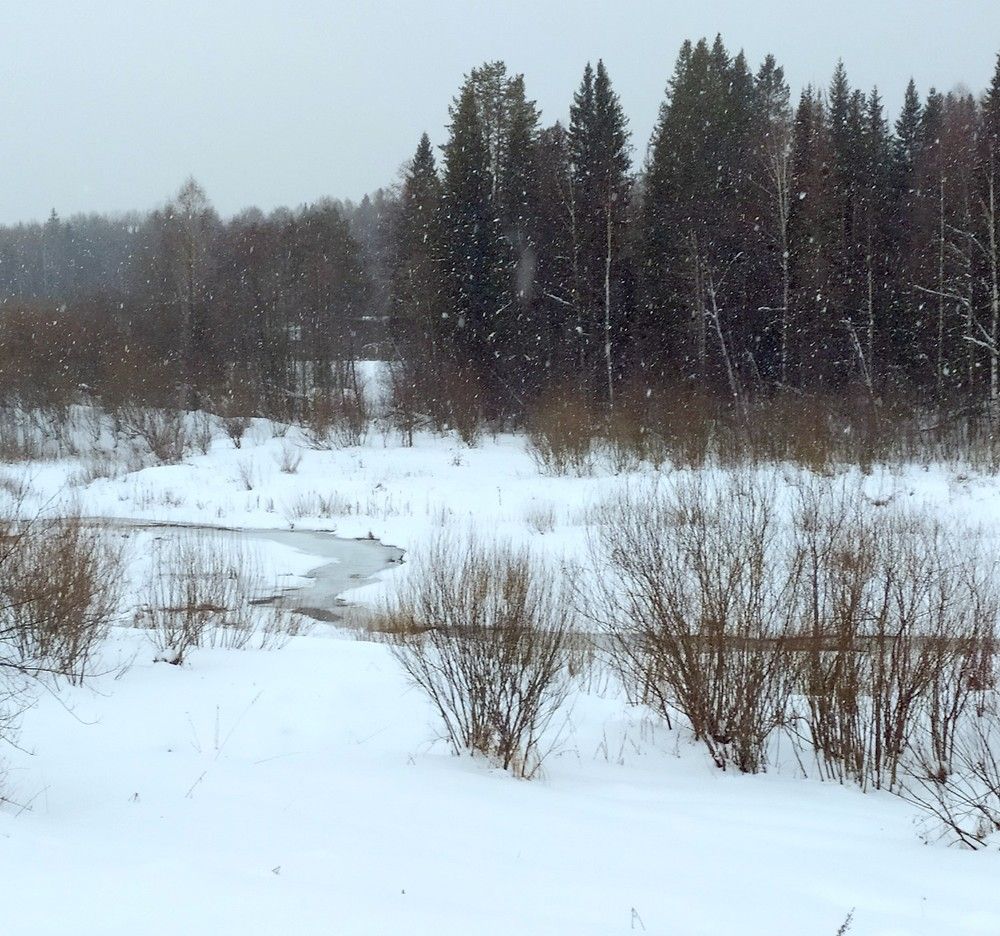 Photograph by Светлана Семенова