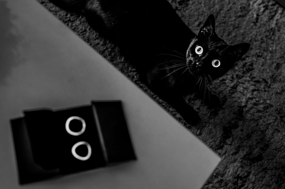 Photograph by Udrea Cezar Gabriel