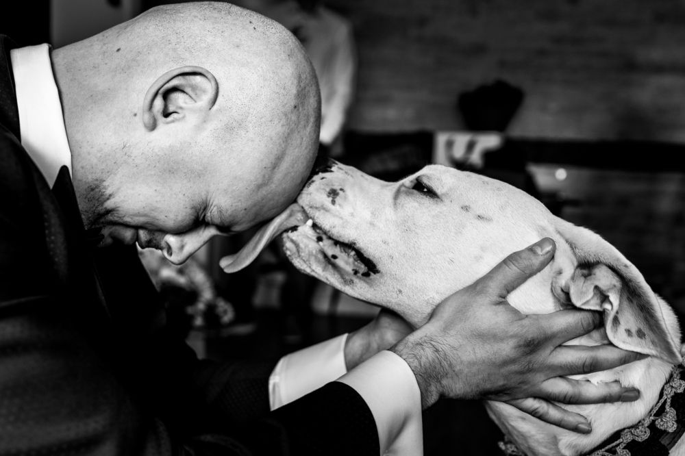 Photograph by Udrea Cezar Gabriel