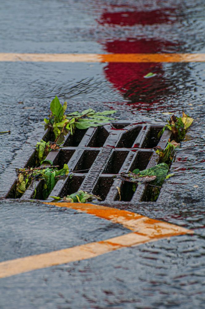 Photograph by Марина Короткова