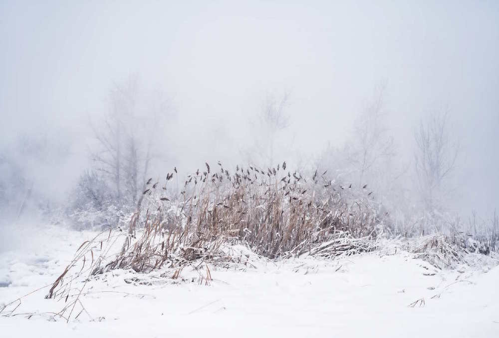 Photograph by Андрей Ревин