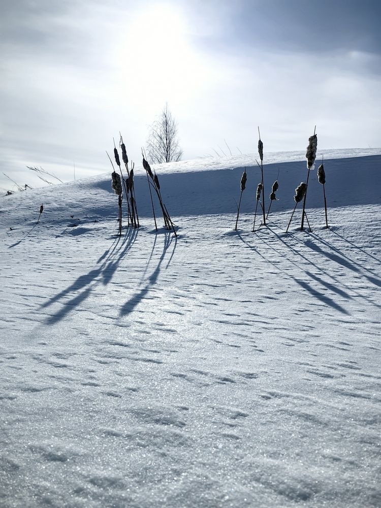 Photograph by Лейла Низамовна Кулиева