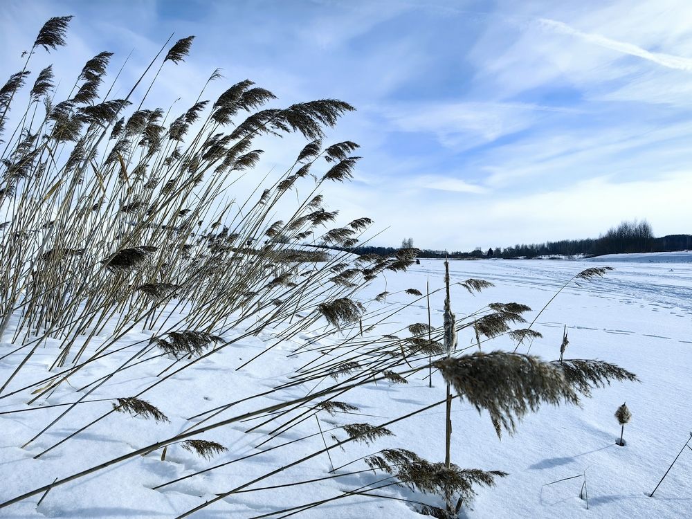 Photograph by Лейла Низамовна Кулиева