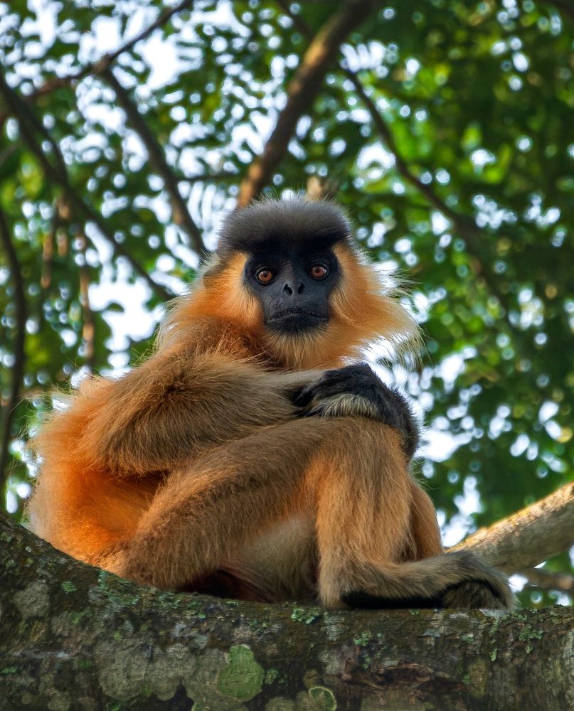 Photograph by Arnold Judson Samuel