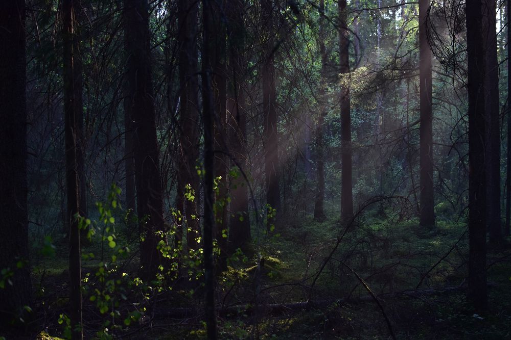 Photograph by Татьяна Хатанзейская-Любимова