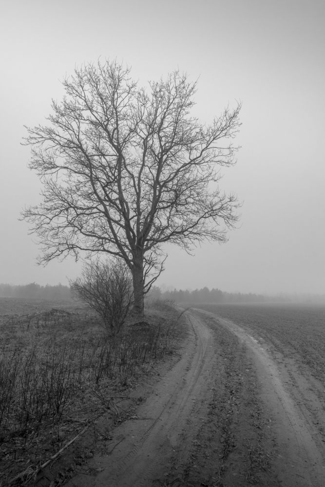 Фотография автора Александр Буренко