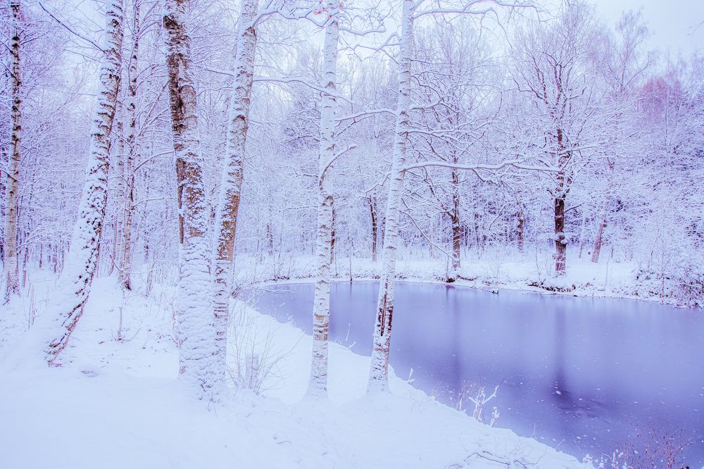 Photograph by Sergey Kudryashov