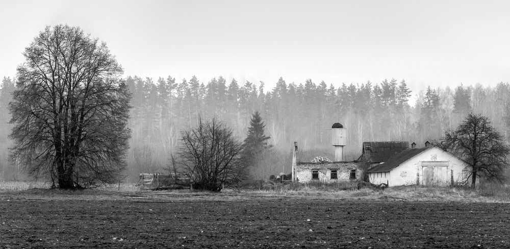 Фотография автора Александр Буренко