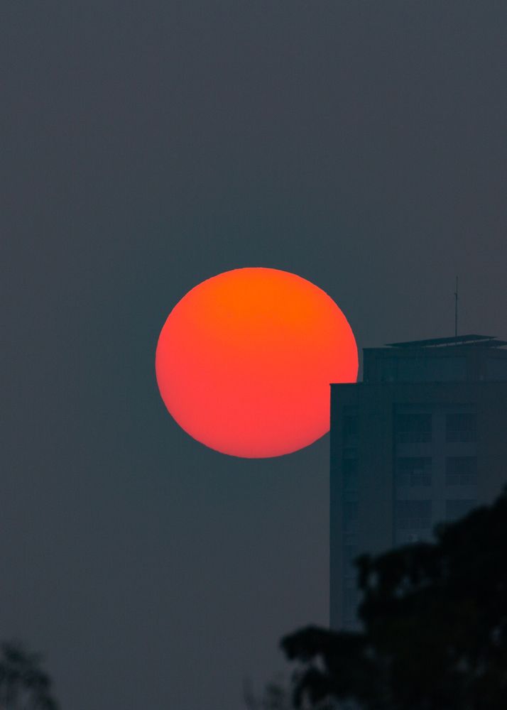 Photograph by Md Matiur Rahman