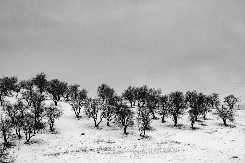 Photograph by Loghman Naderpour