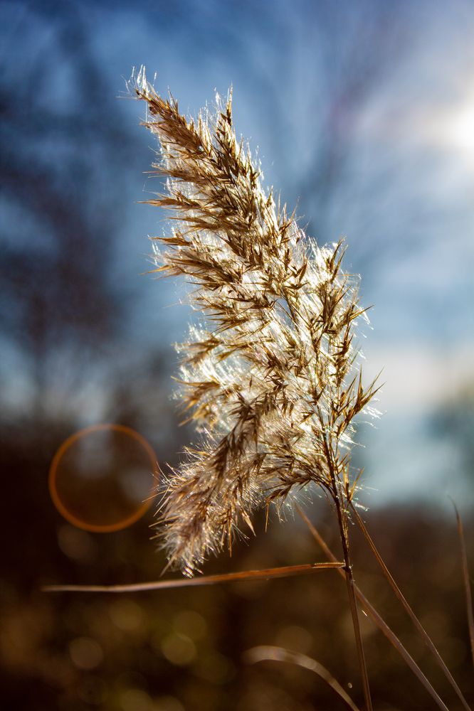 Photograph by Богдан