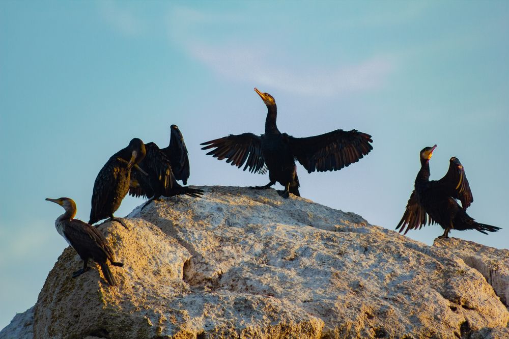 Photograph by Богдан