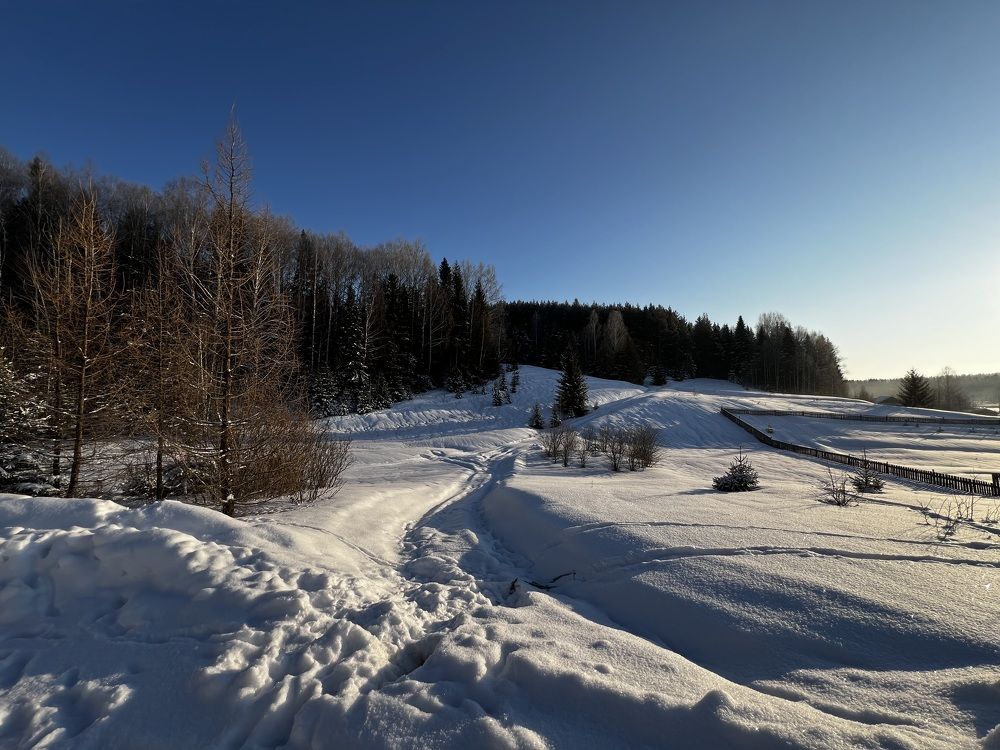 Photograph by Ольга Гущина