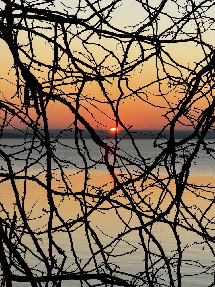 Photograph by Бойкова Наталия