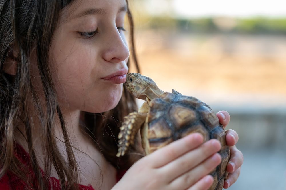 Photograph by esti lahat