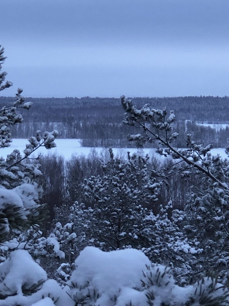 Photograph by Мария Бессмертная