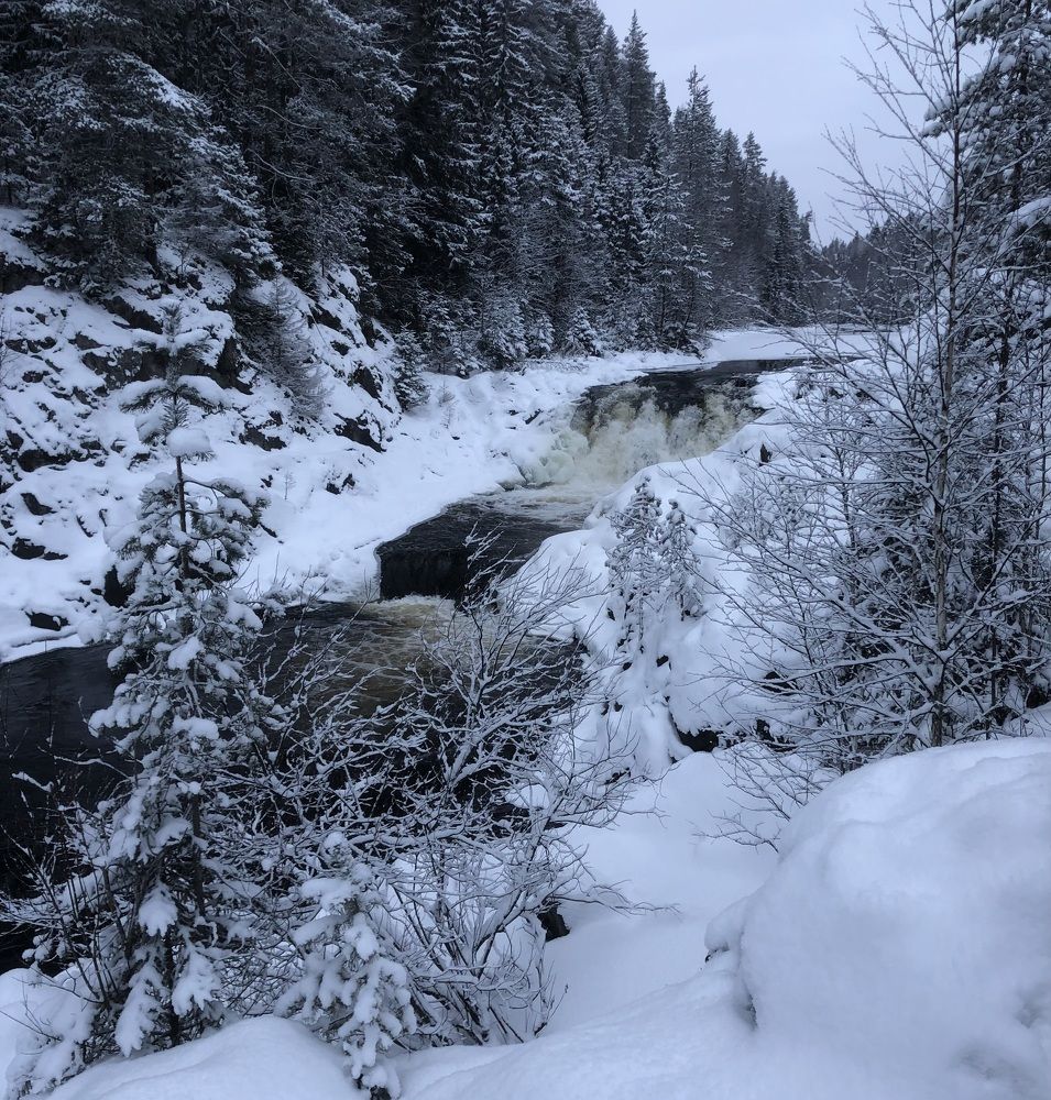 Photograph by Мария Бессмертная