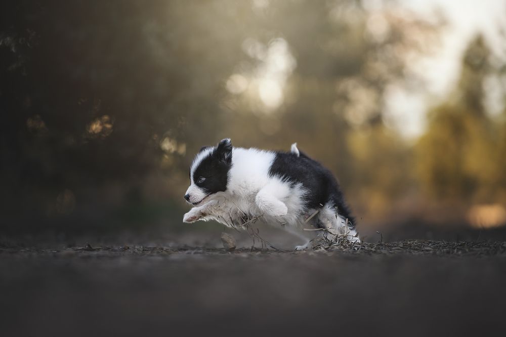 Фотография автора Rut Casanellas