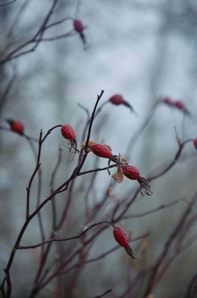 Photograph by Анна К