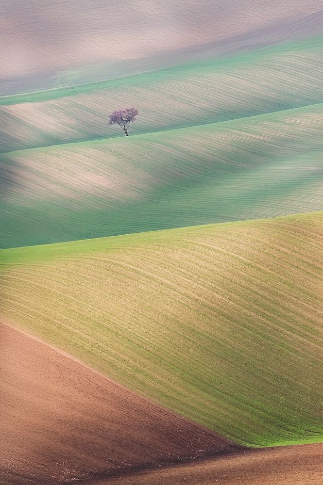 Photograph by Attilio