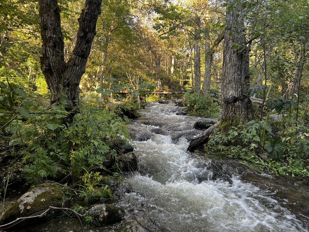 Photograph by Ольга Гущина