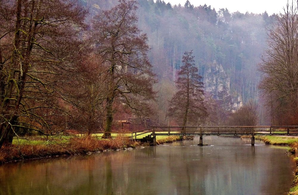 Photograph by backareva irina