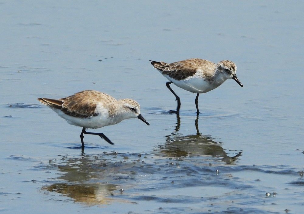 Photograph by Luis Pollack