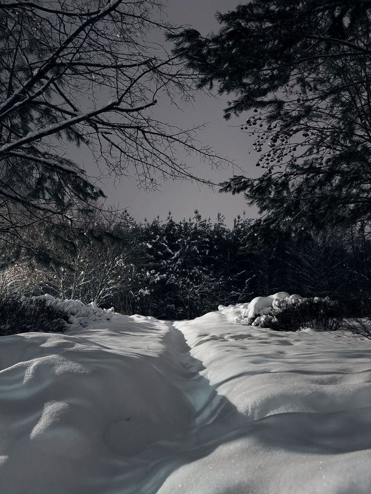 Photograph by Ольга Гущина