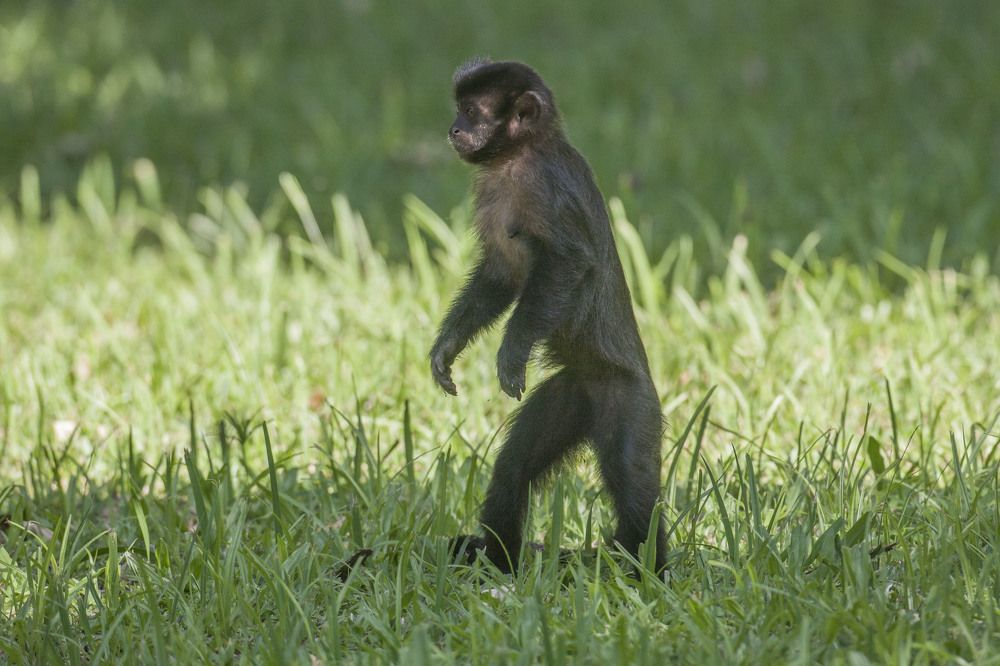 Фотография автора Oskars Smelins