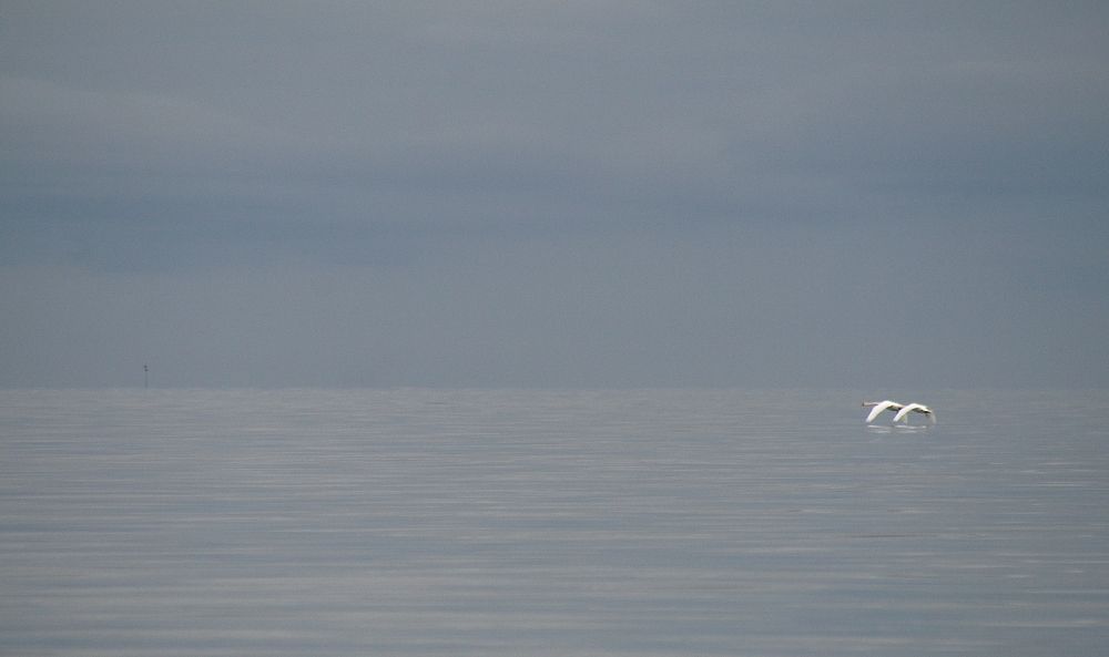 Photograph by Евгений Попов