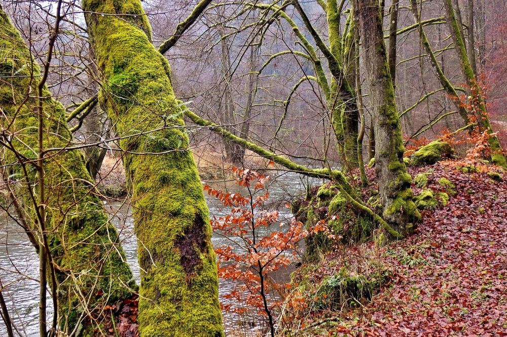 Photograph by backareva irina