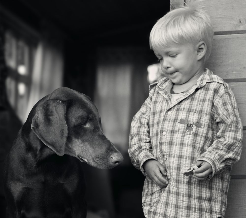 Photograph by Юлия Болдинова