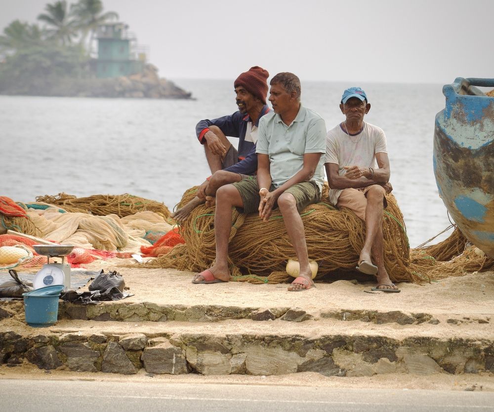 Photograph by Елена Ковалева