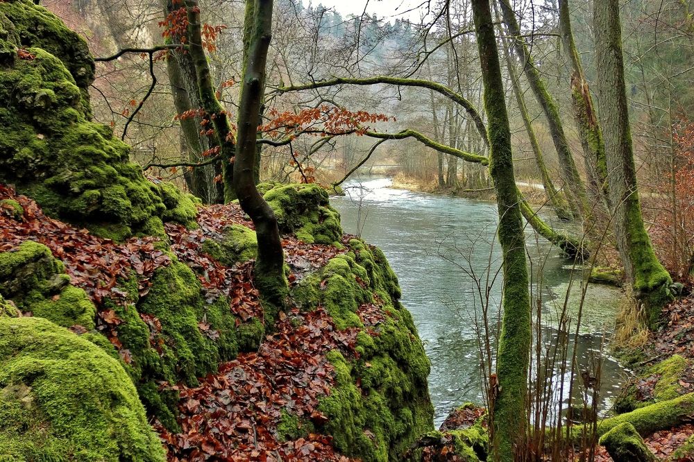 Photograph by backareva irina