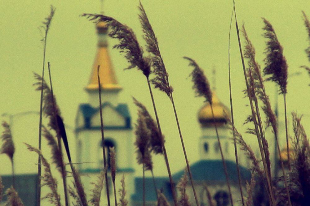Photograph by Катер