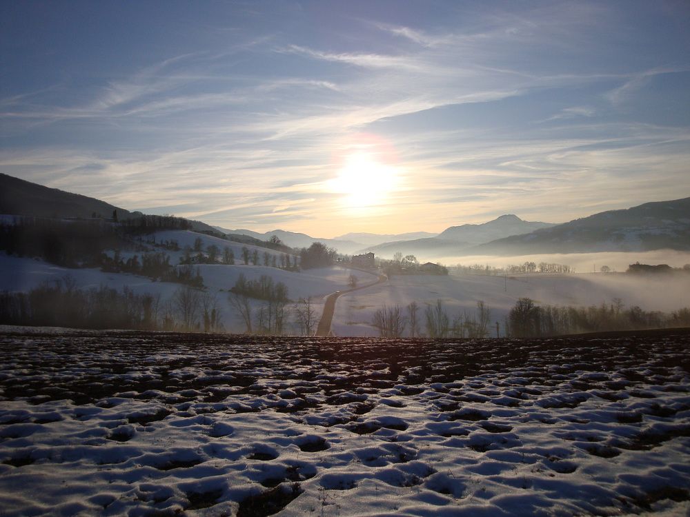 Фотография автора Liliana C.