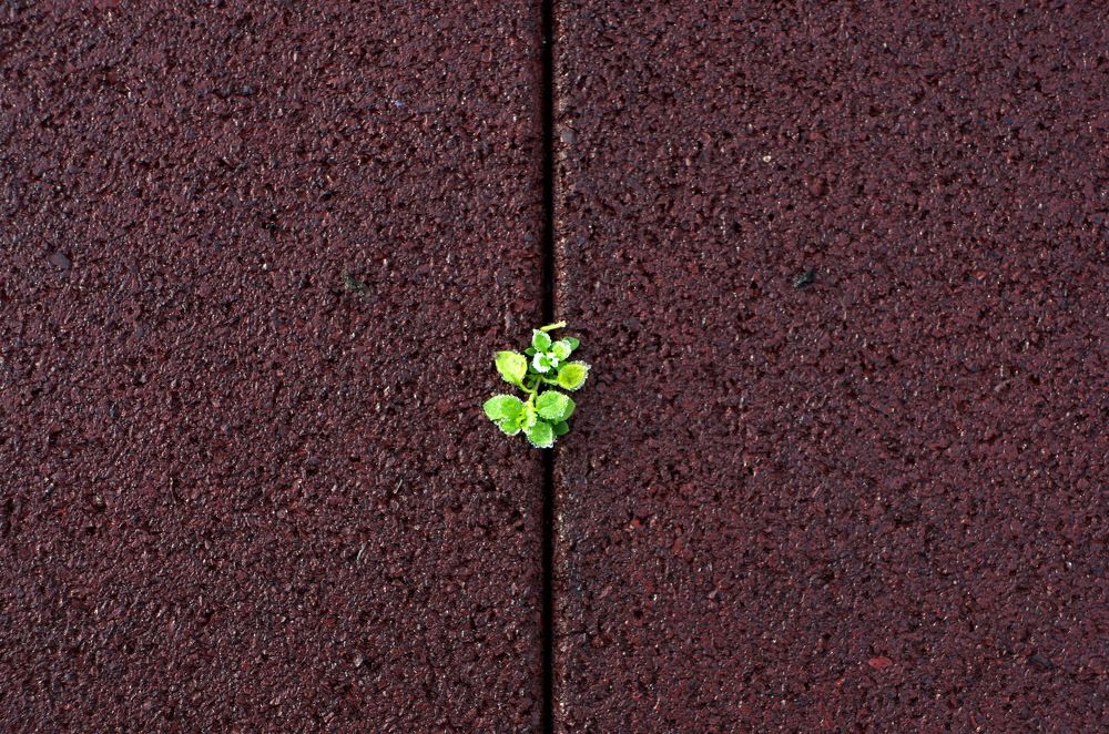 Photograph by Анатолий Святой