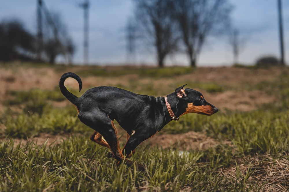 Photograph by Зубков Ярослав