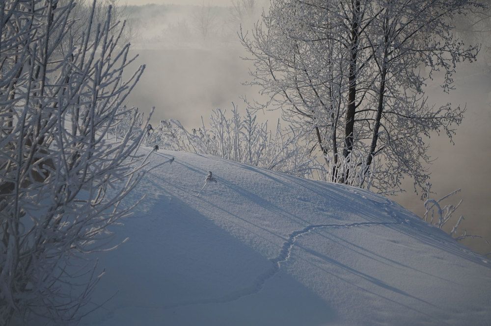 Photograph by Лена Максимкина